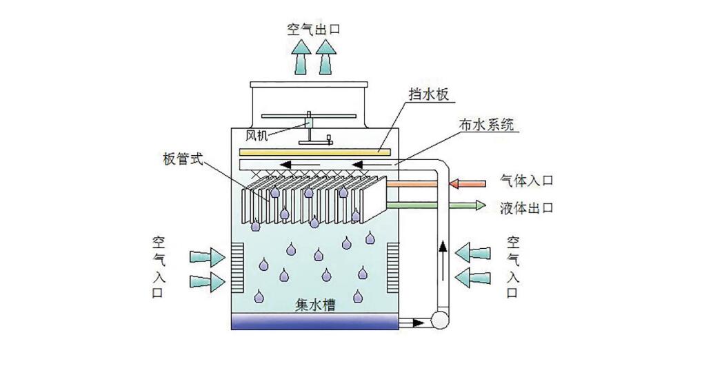 p1_1.jpg